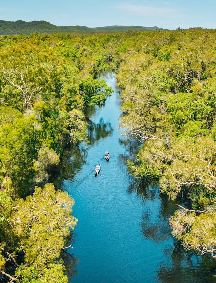 noosa everglades