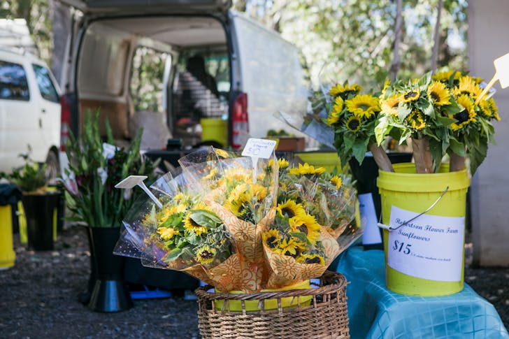 sunflowers at a farmers market