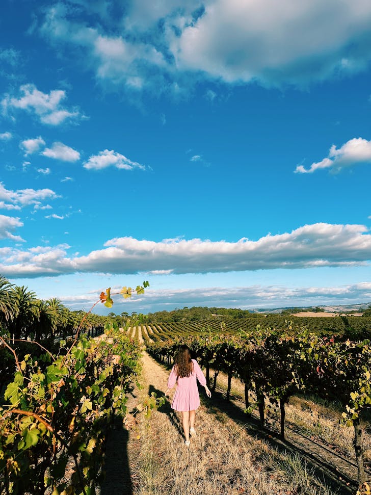 Barossa Valley Wine Adelaide South Australia