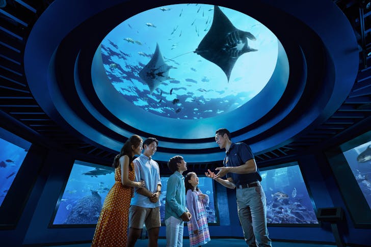 Ocean Dome at S.E.A Aquarium