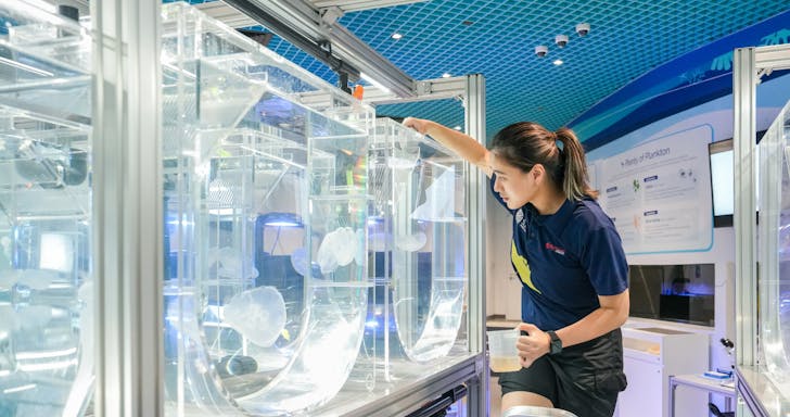 Aquarist Lab at S.E.A Aquarium Singapore